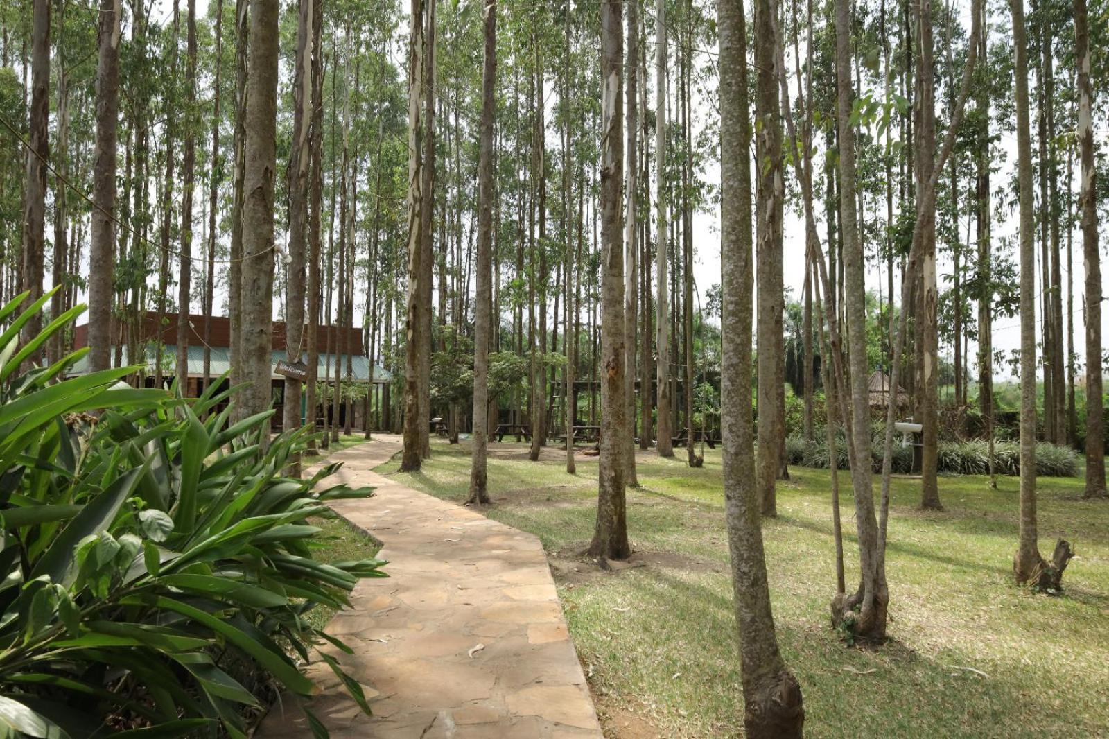 Kabalega Resort - Masindi Exterior foto